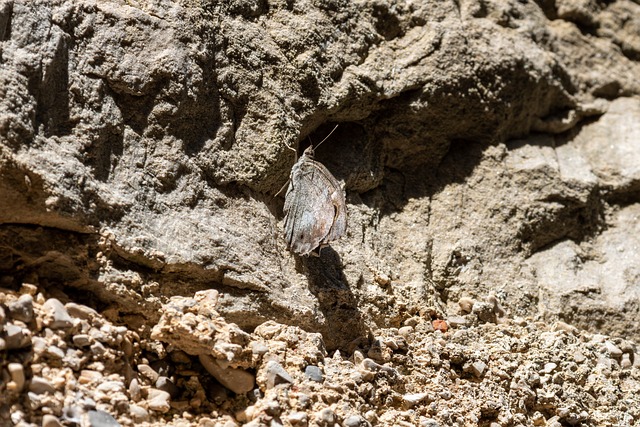 적응형 AI: 나만을 위한 맞춤형 경험의 시대 적응형 AI: 나만을 위한 맞춤형 경험의 시대