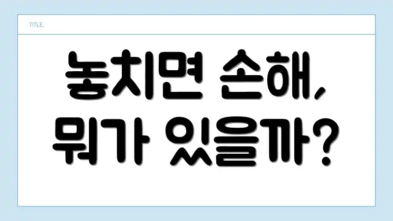 놓치면 손해, 뭐가 있을까?