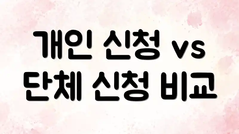 개인 신청 vs 단체 신청 비교