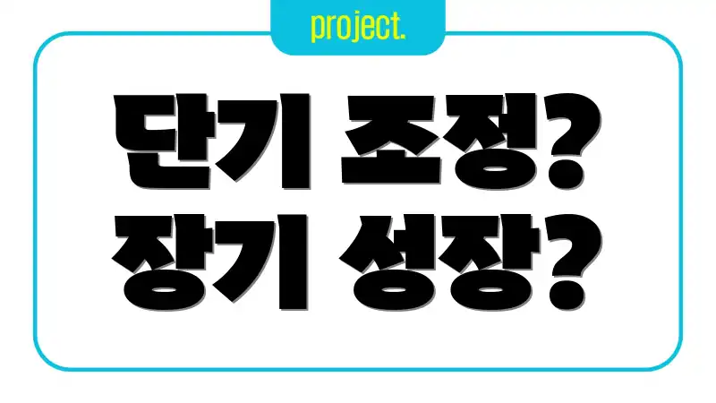 단기 조정? 장기 성장?